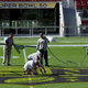 Illustration for article titled They Painted The Wrong End Zone At The Super Bowl